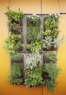 Vertical Garden by Vertical Garden Diy Vertical Garden Ideas And More Real Vertical Garden