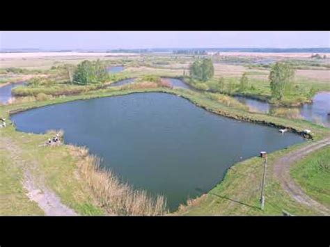 Рыбное хозяйство ИВА. Рыбалка в Тюмени - YouTube