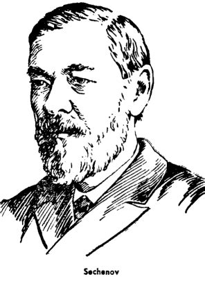 Iván Mijáilovich Séchenov