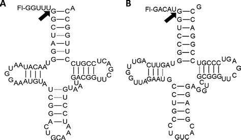 Labels KeyShot 的图像结果