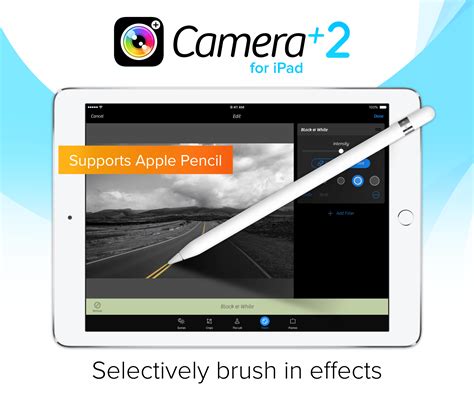 Image result for iPad iOS 9 Camera