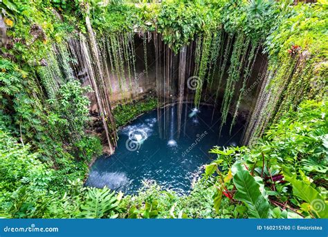 Ik-Kil Cenote, Chichen Itza, Mexico Stock Photo - Image of lake ...