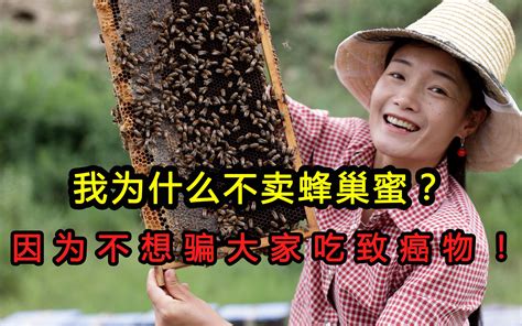 我为什么不卖蜂巢蜜？因为不想骗大家吃致癌物！ - 哔哩哔哩