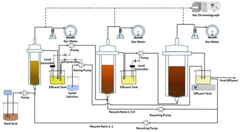 A Review of the State of the Art of Biomethane Production: Recent ...