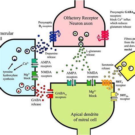Image result for synapse native external table