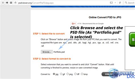 Image result for PSD File View