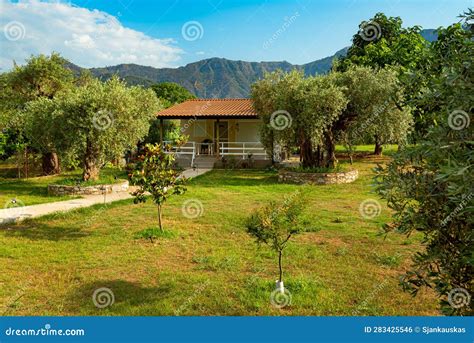 Countryside House Surrounded by Old Olive Trees, Thassos Island, Greece ...