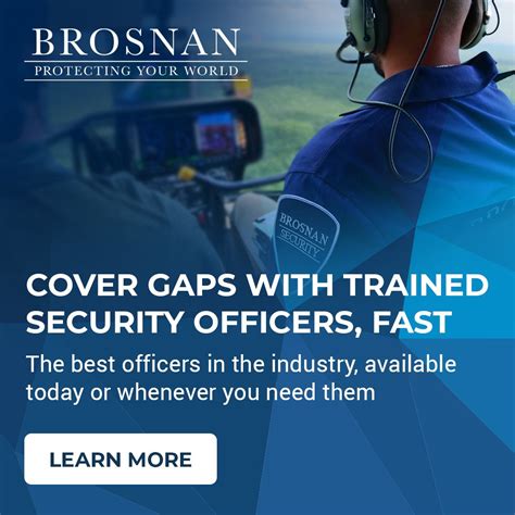 Brosnan Risk Consultants on LinkedIn: Security programs - Security ...