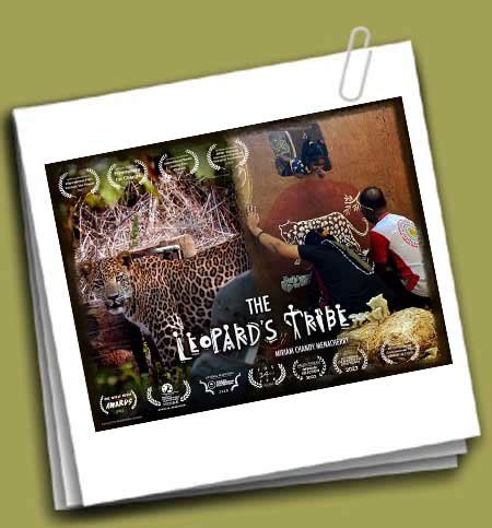 Filament Pictures: Films