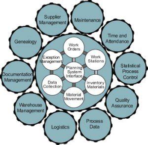 MES System 的图像结果