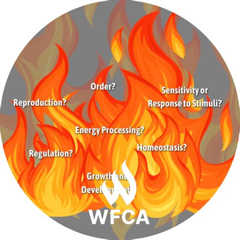 Is Fire Alive? | WFCA