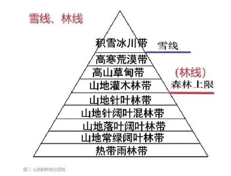 Open SQL File 的图像结果