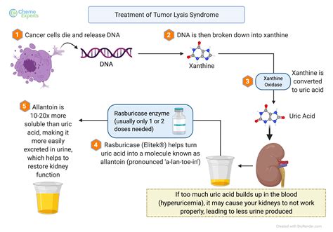 Tumor Lysis Syndrome Tumour Lysis Syndrome — The Intern At Work