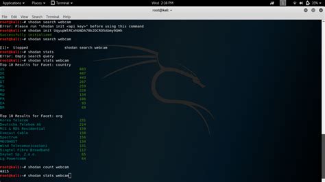 Using Windows Python to Run Shodan 的图像结果