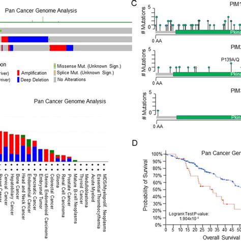 Image result for Cellular Pim