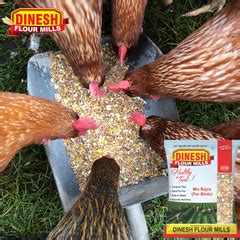 MIX BAJRA ( MILLET ) – Dinesh Flour Mills