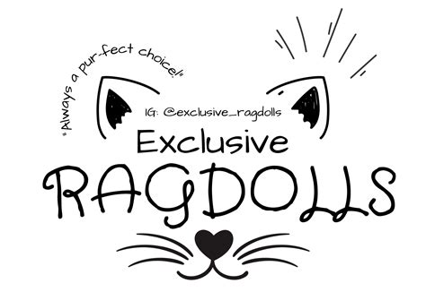 Ragdoll Cat Behavior and the Art of Socialization