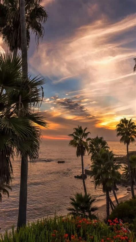 Los Angeles Sunrise Beach