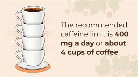 How Much Caffeine In Coffee: Quick Caffeine Guide