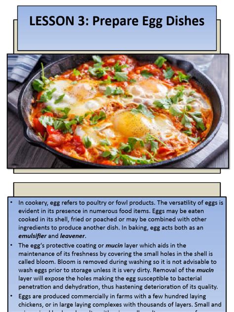 Short-Order Cook Egg Cooking Lesson 的图像结果