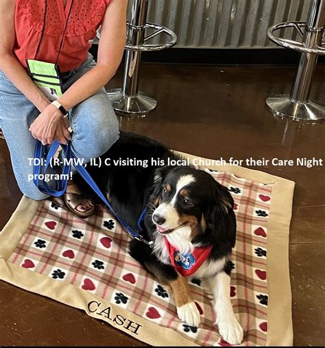 Therapy Dogs International