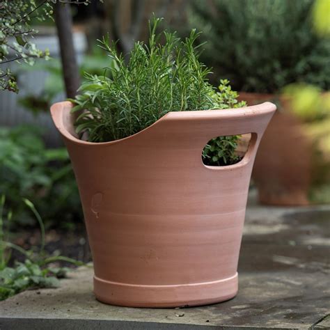 Buy Terracotta milk bucket pot: Delivery by Waitrose Garden