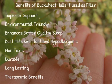 Premium Organic Buckwheat Hulls | Pillow Stuffing | Mulch - PineTales®