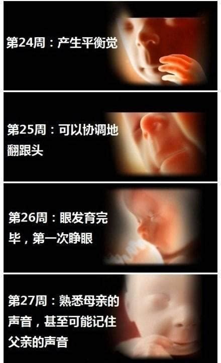 怀胎十月1到40周胎儿发育过程图，原来宝宝在妈妈肚子里是这样 - 每日头条