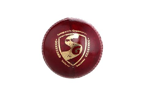 SG Shield 30 Cricket Leather Ball | Club and School Matches | totalsf ...