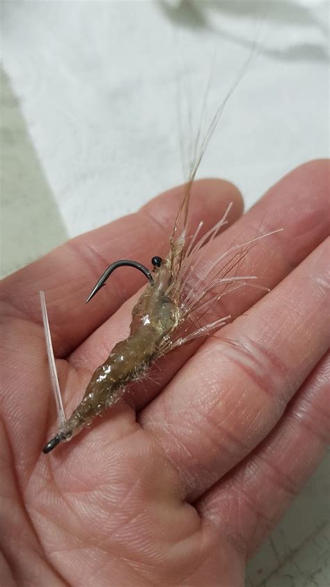 Simple Shrimp Fly Patterns 的图像结果