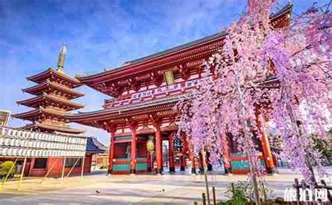 去日本比较好的旅行团有哪些 去日本旅游的旅行团推荐 - 旅游资讯 - 旅游攻略
