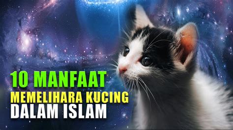 manfaat memelihara ayam