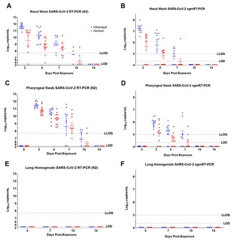 SARS-CoV-2 Aerosol and Intranasal Exposure Models in Ferrets