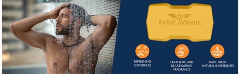 Park Avenue Good Morning Soap 125 gm | Tea Tree Oil And Shea Butter ...