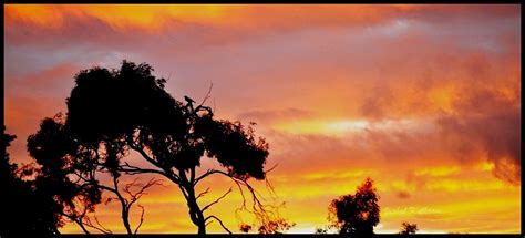 DSC_2172 – लेन्सच्या पलीकडचे जग