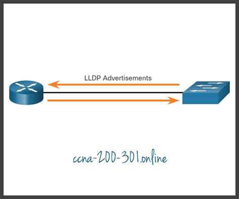 Image result for Lldp Packet