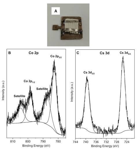 CsxCo/Na-MOR Coating on Ceramic Monoliths for Co-Adsorption of ...