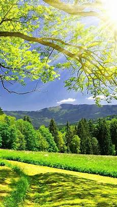 3d Nature Wallpapers For Android Mobile by 3d Hd Nature Wallpapers For Mobile Wallpaper Cave 3d Nature Wallpapers For Android Mobile