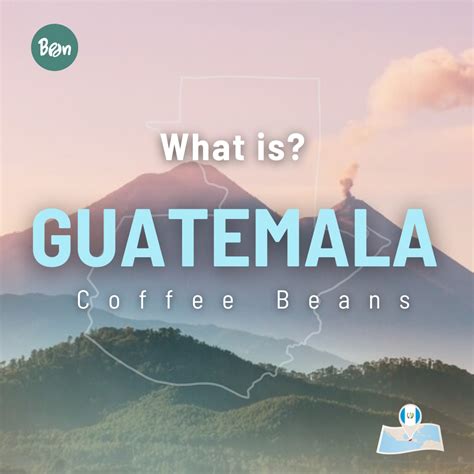 What is Guatemalan Coffee Beans? - คุณรู้จักกาแฟจากกัวเตมาลามากแค่ไหน? - Greenbean import