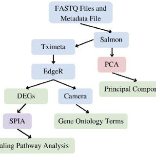 Graphical Workflow 的图像结果