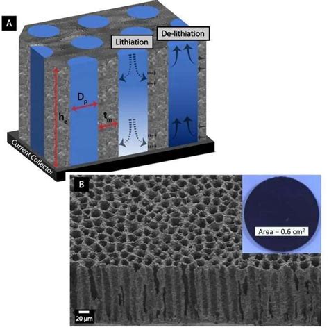 Image result for Large Cell Stack