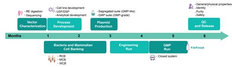 Viral Vector Manufacturing Process 的图像结果