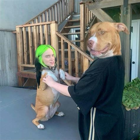 𝔅𝔦𝔩𝔩𝔦𝔢 𝔢𝔦𝔩𝔦𝔰𝔥 | Billie, Billie eilish, Really funny memes