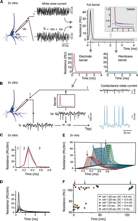 Python Cell Resonance Modelling 的图像结果