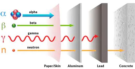 Choosing the Right Radiation Shielding: Factors Considered by a ...