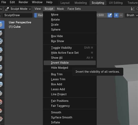 How to Invert Faces Blender 的图像结果
