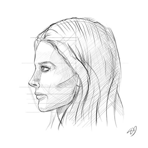 Sideways Face Drawing at PaintingValley.com | Explore collection of ...
