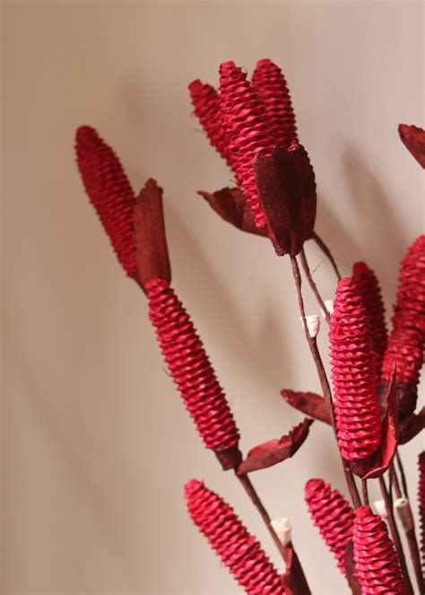 Stylish Natural Dried Bouquet of Flowers for Home Decoration – WeavingHomes