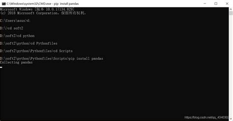Python 3.10 Pandas Install 的图像结果