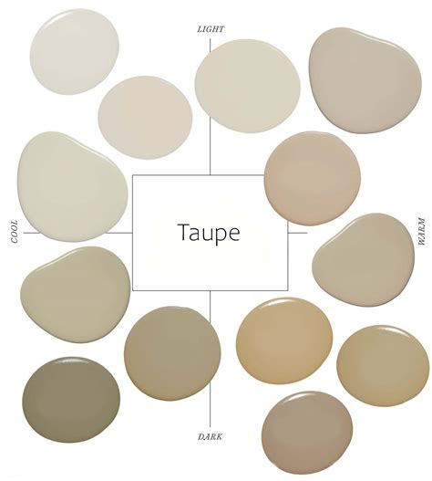 What Color Is Taupe